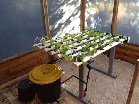 DIY Hydroponics .